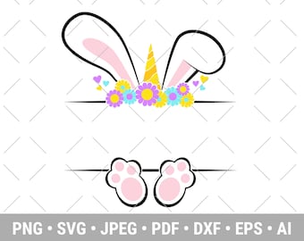 Pode incluir: Um coelho branco com orelhas cor-de-rosa e um chifre de unicórnio amarelo. O coelho está usando uma coroa de flores com flores roxas, amarelas, azuis e rosas. O coelho está segurando uma faixa em branco.