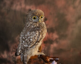 stuffed owl for sale