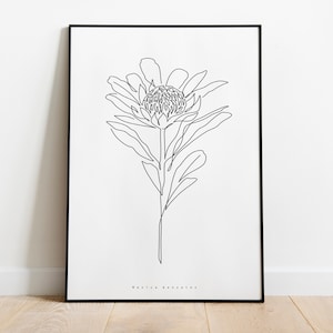 AUSTRALIAN NATIVE FLOWER print, Waratah art print, Aussie flora, Waratah illustration, Australian native wildflowers, Flowering gum