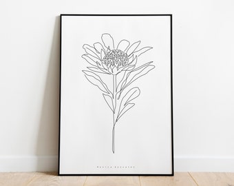 AUSTRALIAN NATIVE FLOWER print, Waratah art print, Aussie flora, Waratah illustration, Australian native wildflowers, Flowering gum
