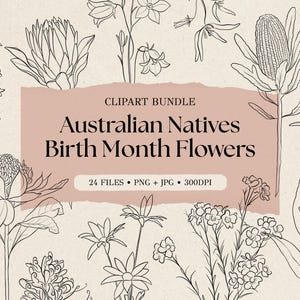 May include: A digital clipart bundle featuring black line art illustrations of Australian native flowers on a light background. A central dusty pink rectangular banner displays the text: CLIPART BUNDLE Australian Natives Birth Month Flowers 24 FILES PNG + JPG 300DPI.
