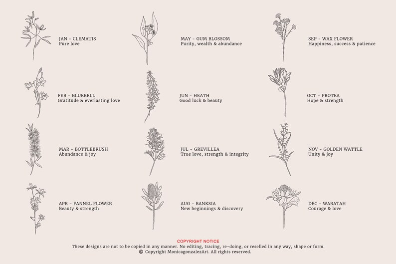 May include: A chart with twelve illustrations of flowers, each representing a different month of the year. Each flower is labeled with its name and a short description of its meaning. For example, January is represented by a Clematis flower with the description "Pure love".