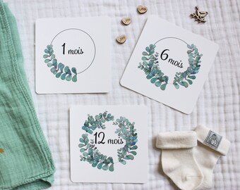 Cartes étapes, première année de bébé