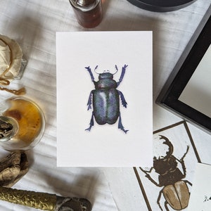 Scarabée, carte postale / décoration murale illustrée à partir d'une aquarelle
