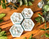 Wild Mint Eucalyptus Botanical Soy Wax Melts 100 Vegan Cruelty Free