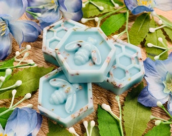 Coastal Kale & Surf Botanical Soy Wax Melts / 100% Vegan Cruelty Free Summer