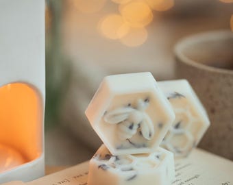 Sparkling Snow Botanical Soy Wax Melts / 100% Vegan Cruelty Free Christmas Collection