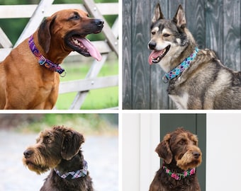 Colorful half-check dog collars (7 patterns)