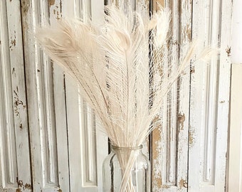 Charming white peacock feather brocante chic