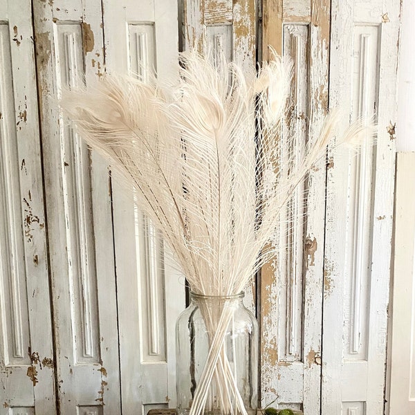 Charmante brocante chic en plumes de paon blanc