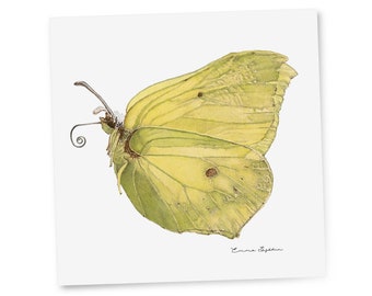 Gift card 'Lemon Butterfly'