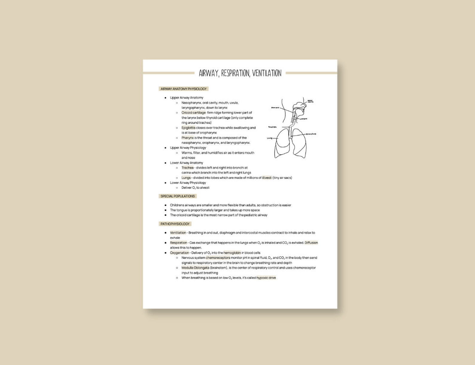 EMT Study Guide, Airway, Respiration, Ventilation (PDF Pattern) - Etsy