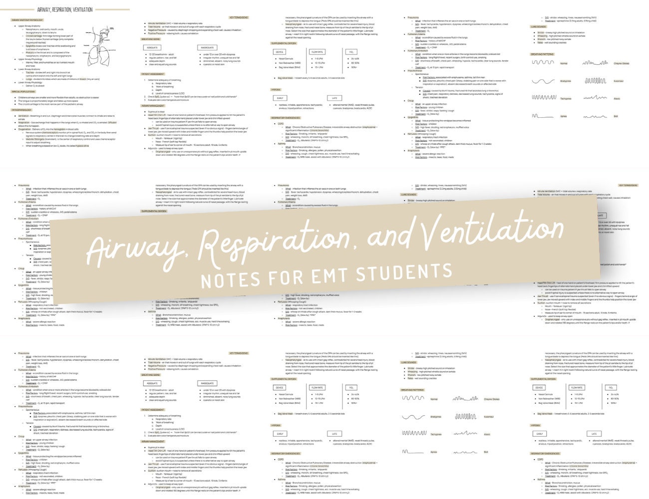 EMT Study Guide, Airway, Respiration, Ventilation (PDF Pattern) - Etsy