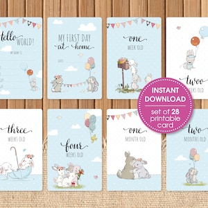 Baby Milestone cards printable milestone cards printable | Etsy