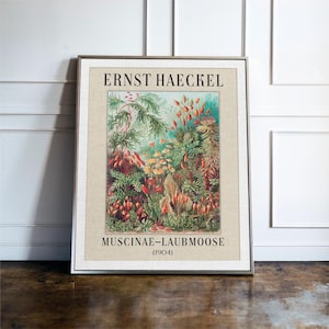 Ernst Haeckel Print, Muscinae–Laubmoose Wall Art Print, Vintage Kitchen Decor, Framed Print