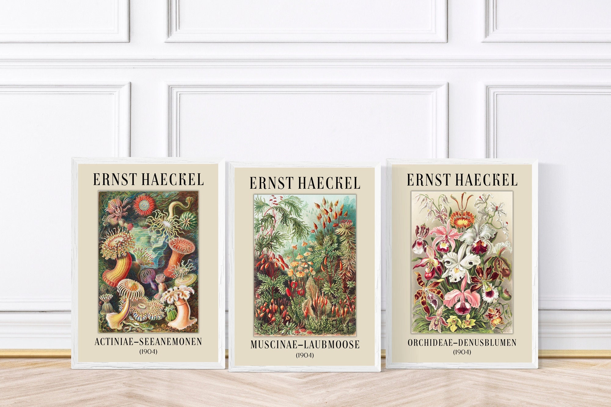 Ernst Haeckel Vintage Botanical Prints Set of Three, Vintage Kitchen Decor, Botanist Collection, Framed Prints