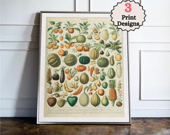 May include: A framed botanical print featuring a detailed collection of various fruits and vegetables in shades of green, orange, yellow, and brown. The artwork includes numbered labels and text at the bottom, with a 3 Print Designs logo in the corner.