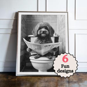 Peut inclure: Photographie en noir et blanc d'un chien assis sur des toilettes et lisant un journal. Le chien est un caniche avec une queue touffue et porte un collier. Le journal est plié en deux et le chien le tient avec ses pattes. Les toilettes sont blanches et ont un siège et un couvercle. L'arrière-plan est une salle de bain carrelée.