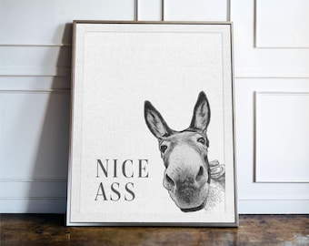 Nice Ass, Funny Bathroom Wall Art, Toilet Humour Decor, Guest Bathroom Sign, Quirky Typography Print