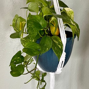 Macrame Plant Hanger - Pot Holder - Gift for Plant Lovers - Hanging Plant - Boho Decor - Indoor Plant Hanger