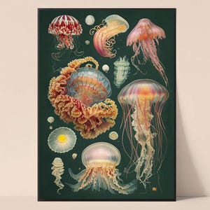 Vintage Qualle Poster Ozean Kunstdruck, Meerestiere Dekor, Nautische A4 Wand Kunst, Natur & Botanischen Stil, Geschenkidee für Ozean Liebhaber