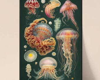 ヴィンテージクラゲアートプリント：植物と海の野生動物のポスター