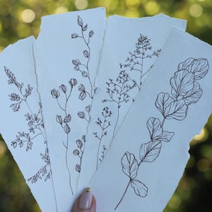 Może przedstawiać: Cztery kawałki podartego, białawego papieru z delikatnymi botanicznymi rysunkami liniowymi w brązowym tuszu. Rysunki przedstawiają różne łodygi i liście roślin. Tło jest rozmyte zielono-żółte.