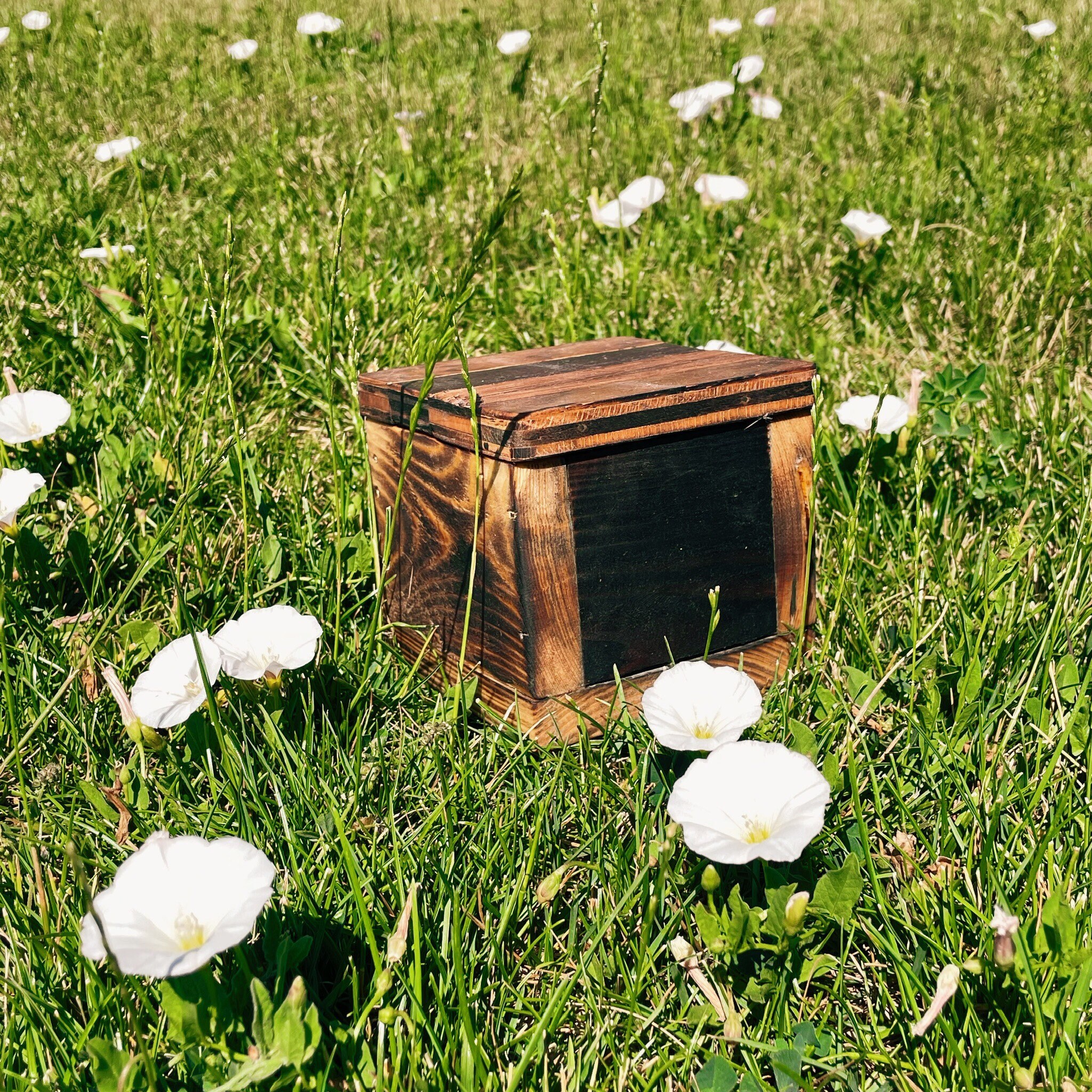 Caja de almacenamiento decorativo de madera dura recuperada | Etsy
