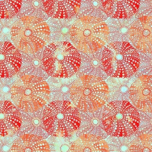 Calypso II Sea Urchins Orange 100% Cotton Fabric