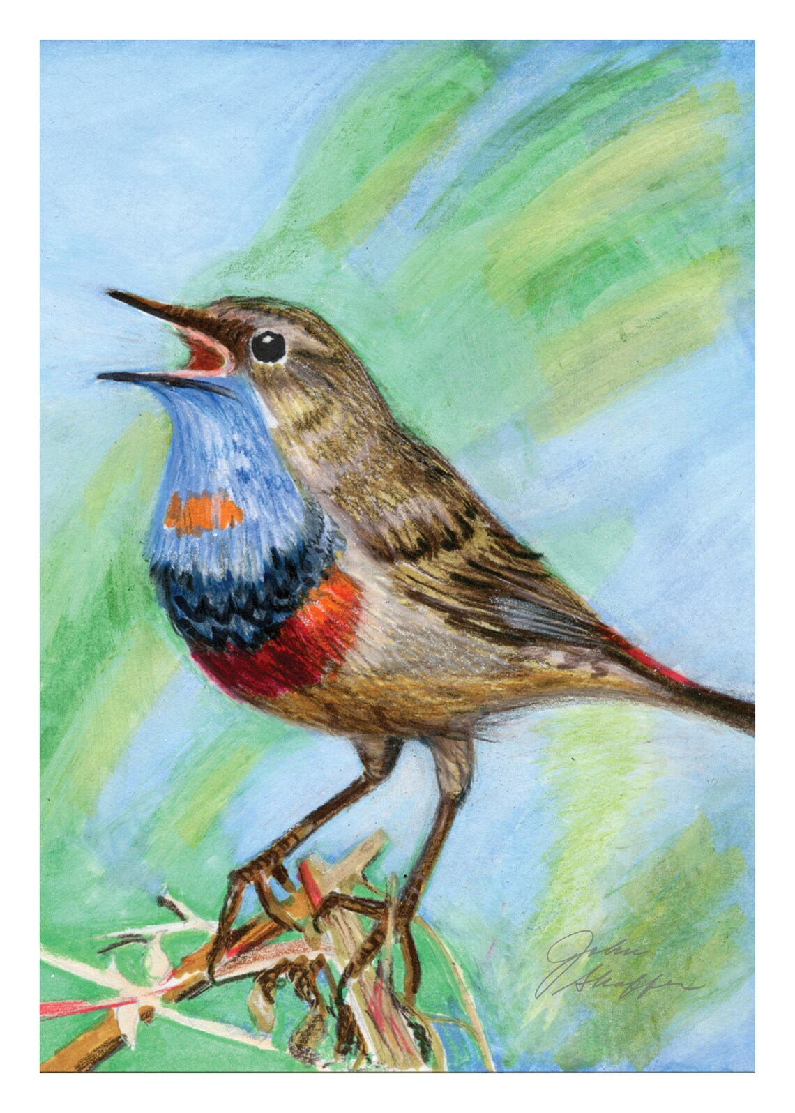 Songbird Sketch Printable Art 5x7 Etsy