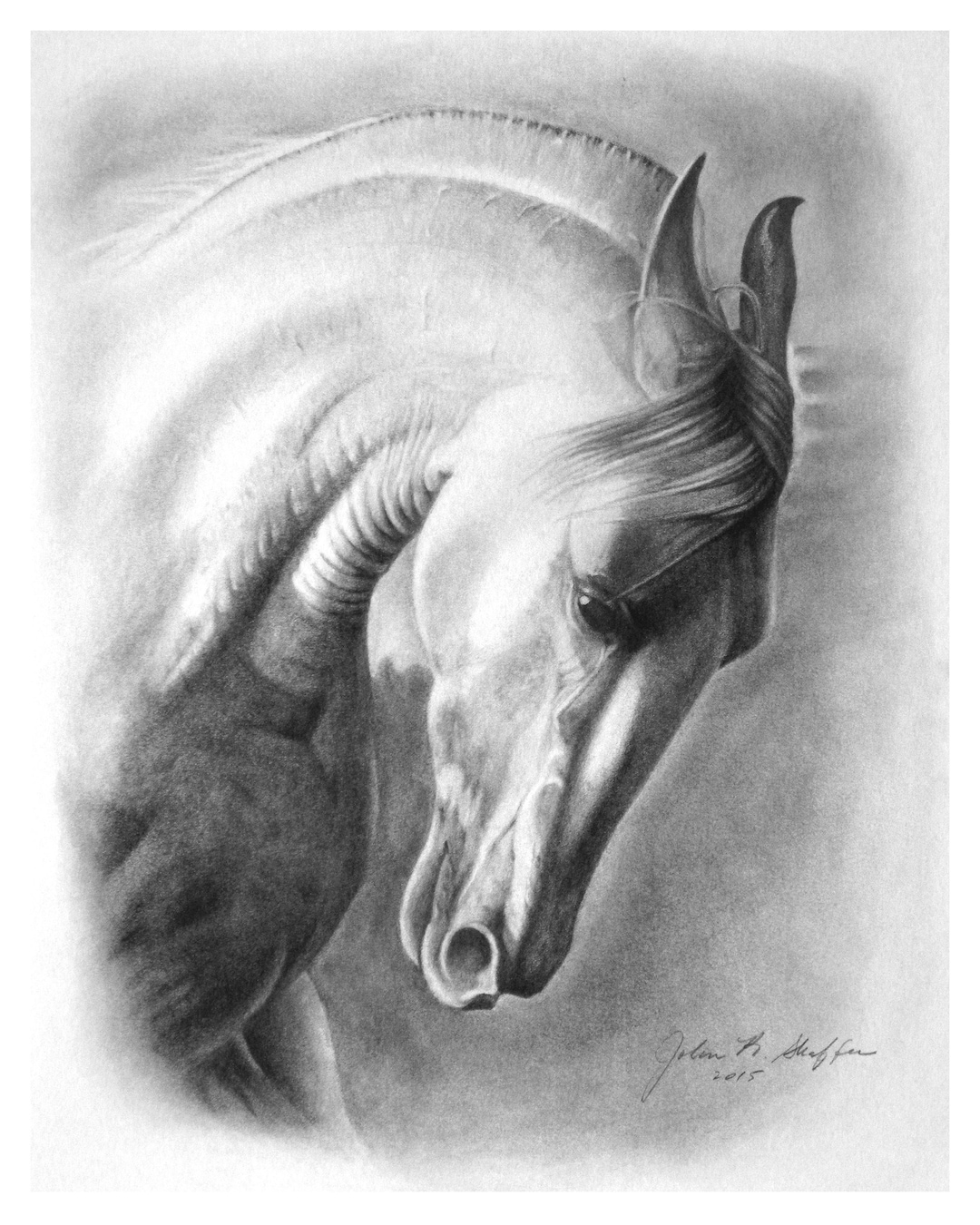 White Horse With Arched Neck. Printable Art, 5x7, 8x10, 11x14 Etsy