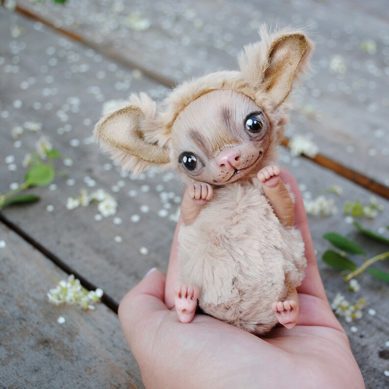 chihuahua tiny toy
