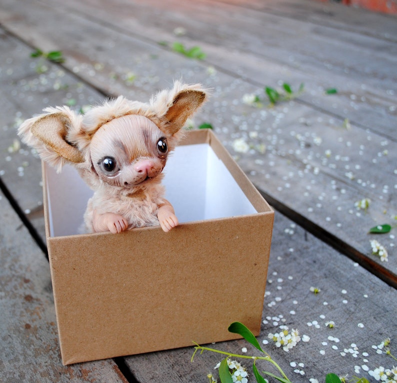 chihuahua puppy chew toys