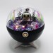 see more listings in the Pokeball Terrarium section