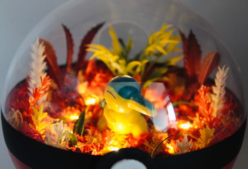 Pokeball terrarium Héricendre / Cyndaquil image 4