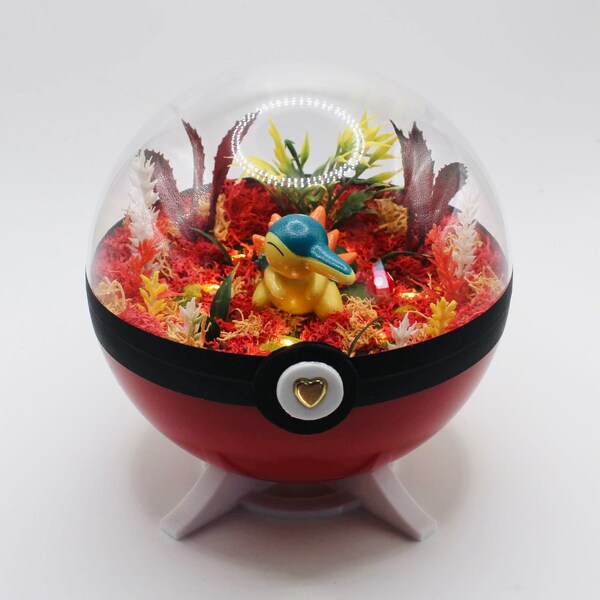 Pokeball terrarium Héricendre / Cyndaquil