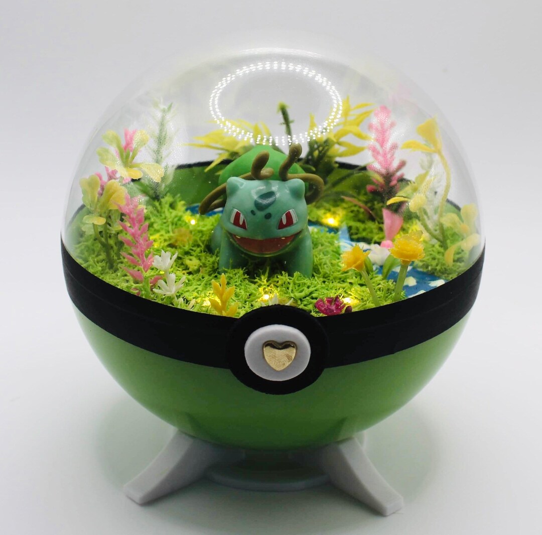 Pokeball Terrarium Bulbasaur / Bulbasaur Etsy