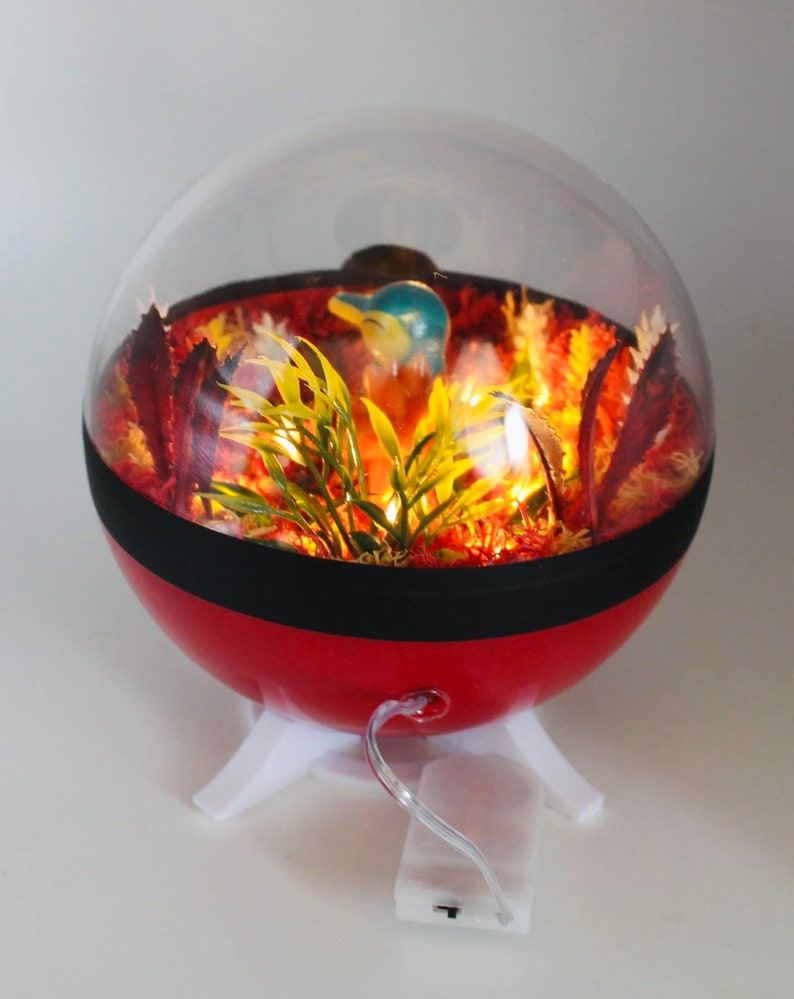 Pokeball terrarium Héricendre / Cyndaquil image 8