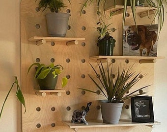 Large Hole Pegboard Organizer- Plant shelf