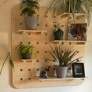 Large Hole Pegboard Organizer- Plant shelf