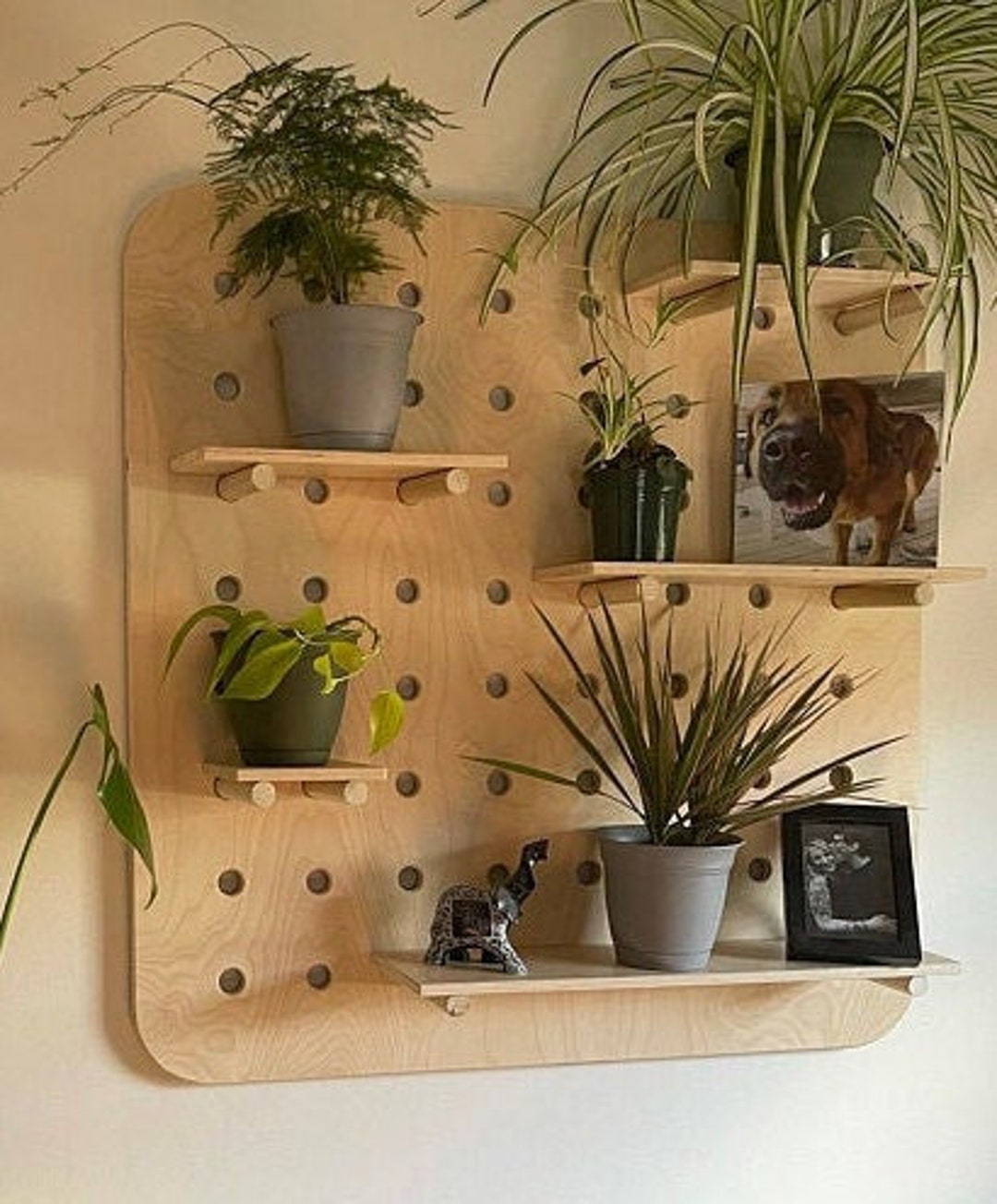 Large Hole Pegboard Organizer Plant Shelf Etsy