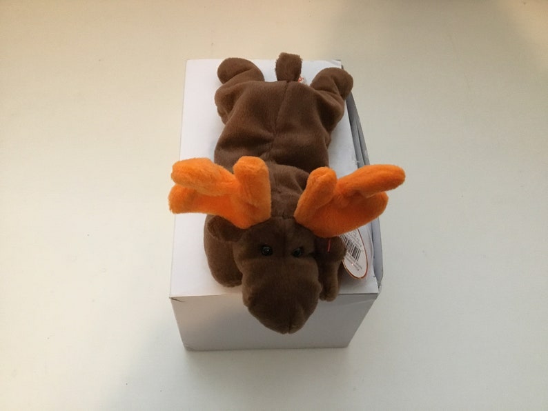 Ty Beanie Baby Chocolate the Moose Style 4015 | Etsy