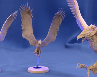 Featured image of post Dnd Roc Token