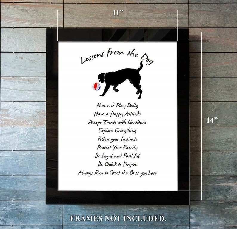 Lessons From A Dog dog Quote Print dog Sayings life Lessons quotes