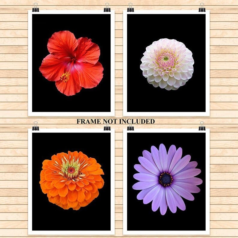 Floral Wall Art Set Simple Flower Print Flowers Minimal Etsy