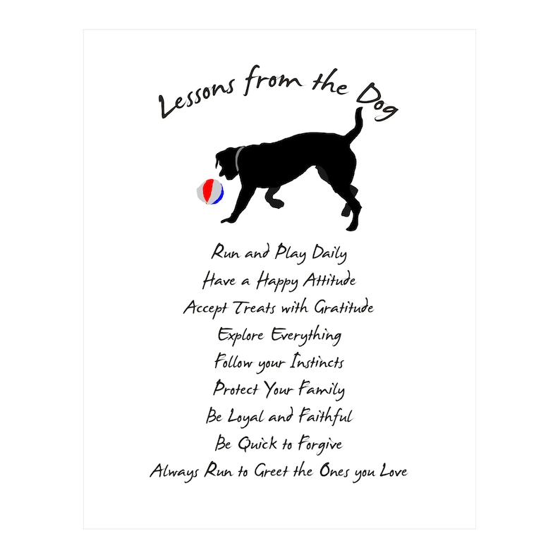 Lessons From A Dog dog Quote Print dog Sayings life Lessons quotes