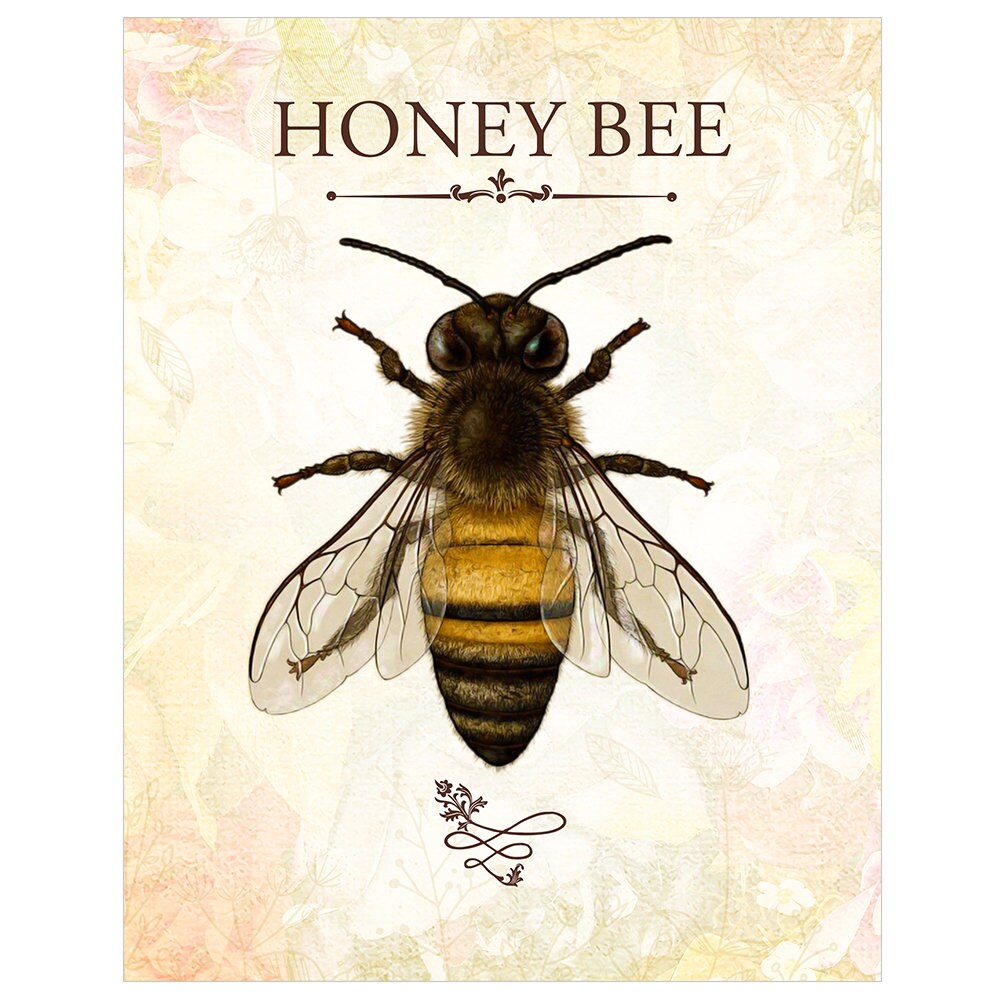 Honey Bee Art bee Wall Art bee Art Print honey Bee Print bee Keeping