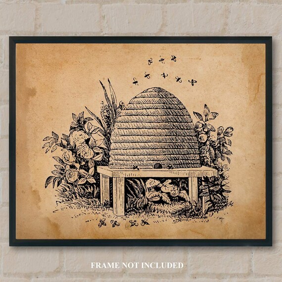 Vintage Beehive Illustration Straw Bee Hives ~ Free Vintage Clip Art