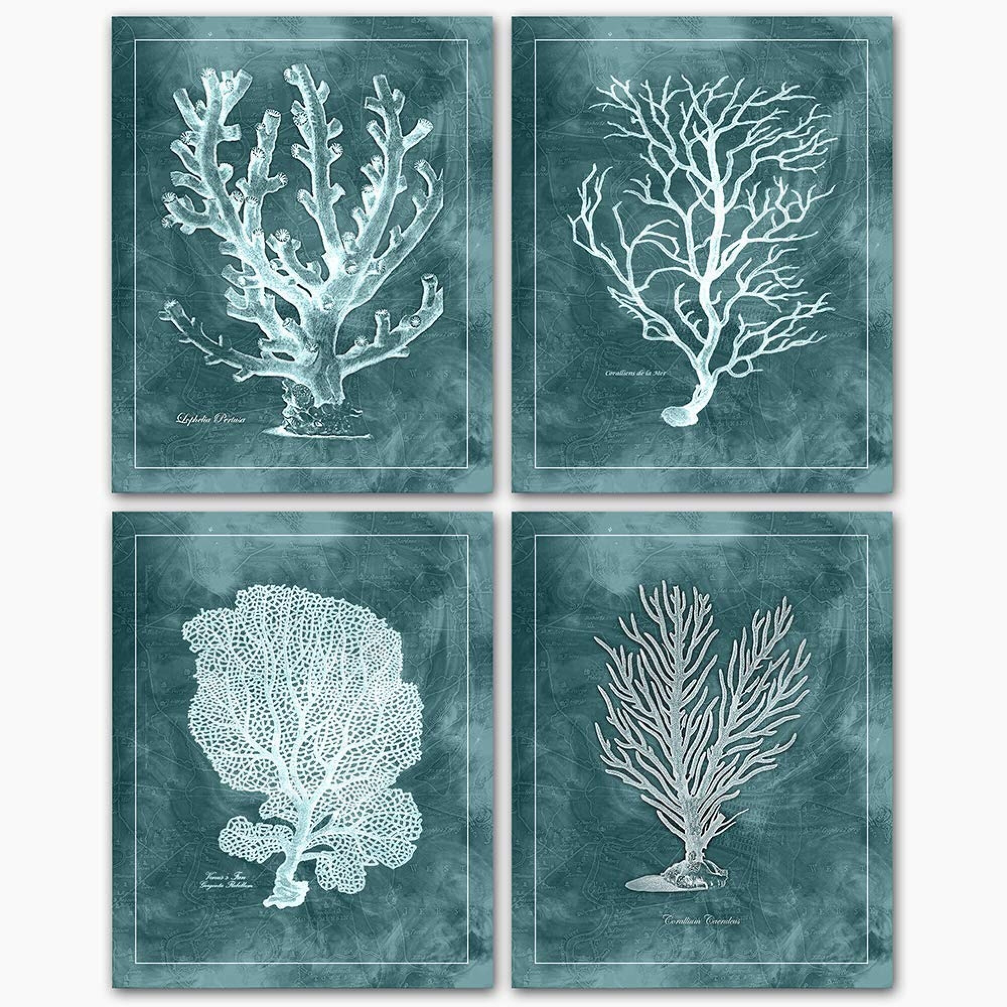 Sea Life Art coral Reef Art coral Art Print sea Coral Prints natural