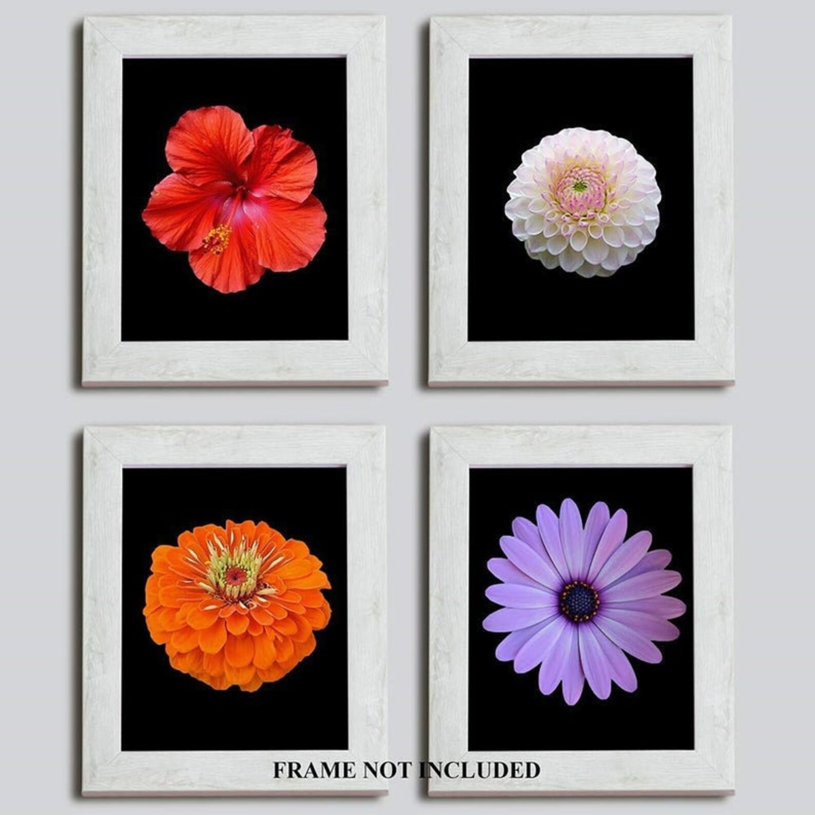 Floral Wall Art Set Simple Flower Print Flowers Minimal Etsy
